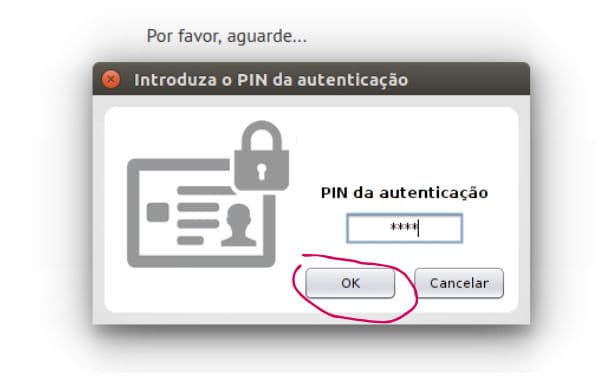 חלון Introduza o PIN da autenticação עם כפתור OK מסומן